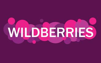 Интеграция с Wildberries