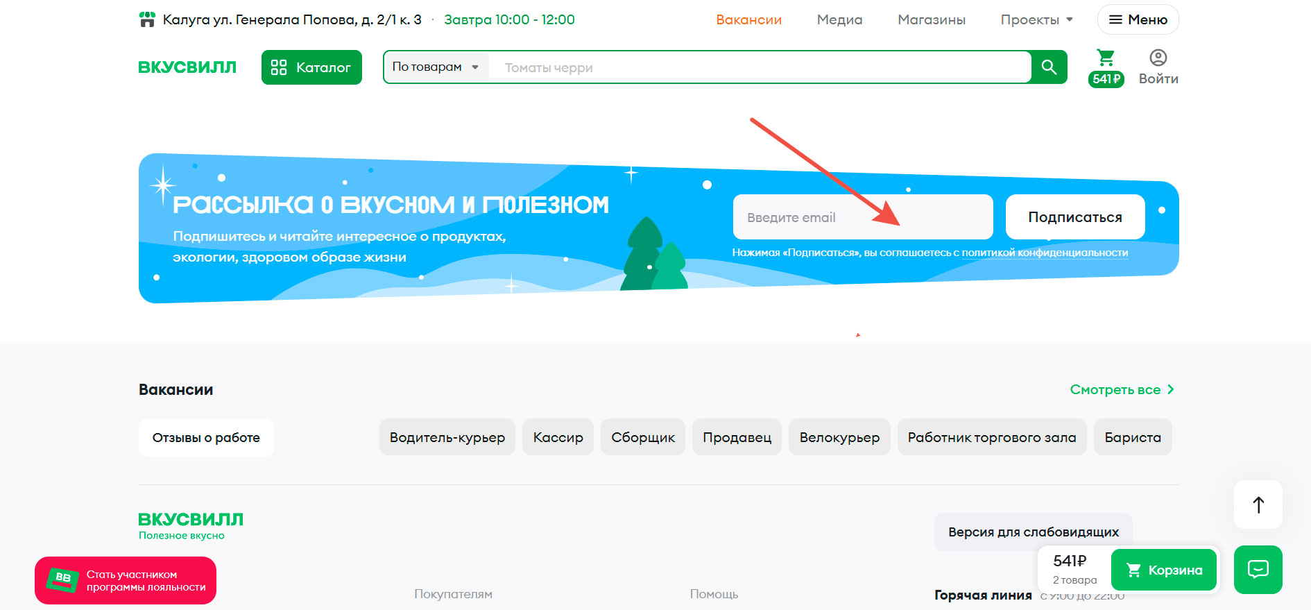 Подписка на имейл рассылку Вкусвилл