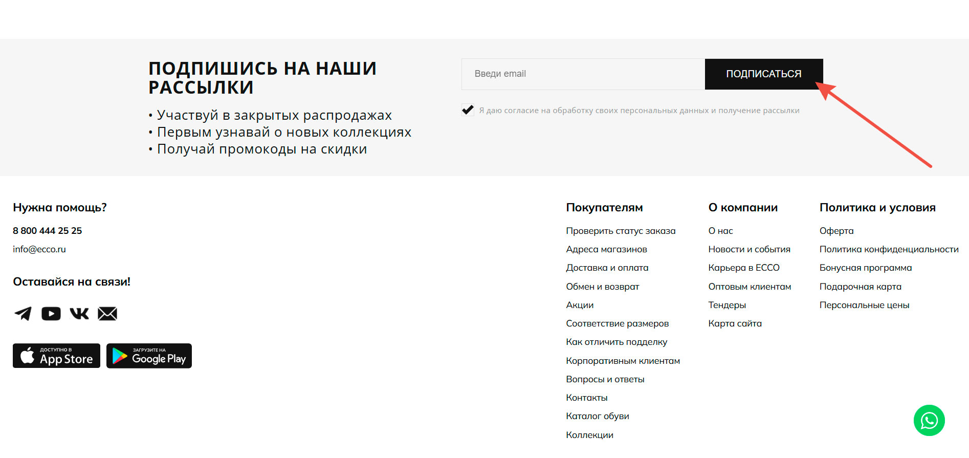 Подписка на рассылку Экко