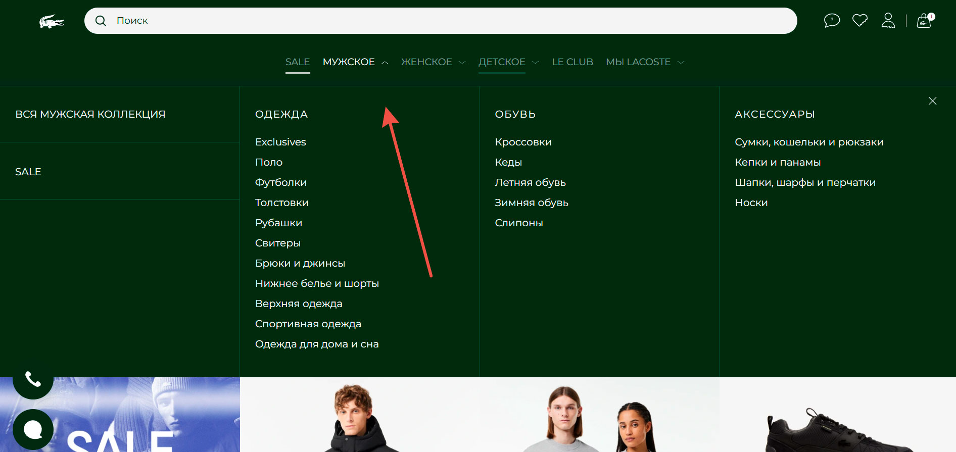 Ассортимент Lacoste
