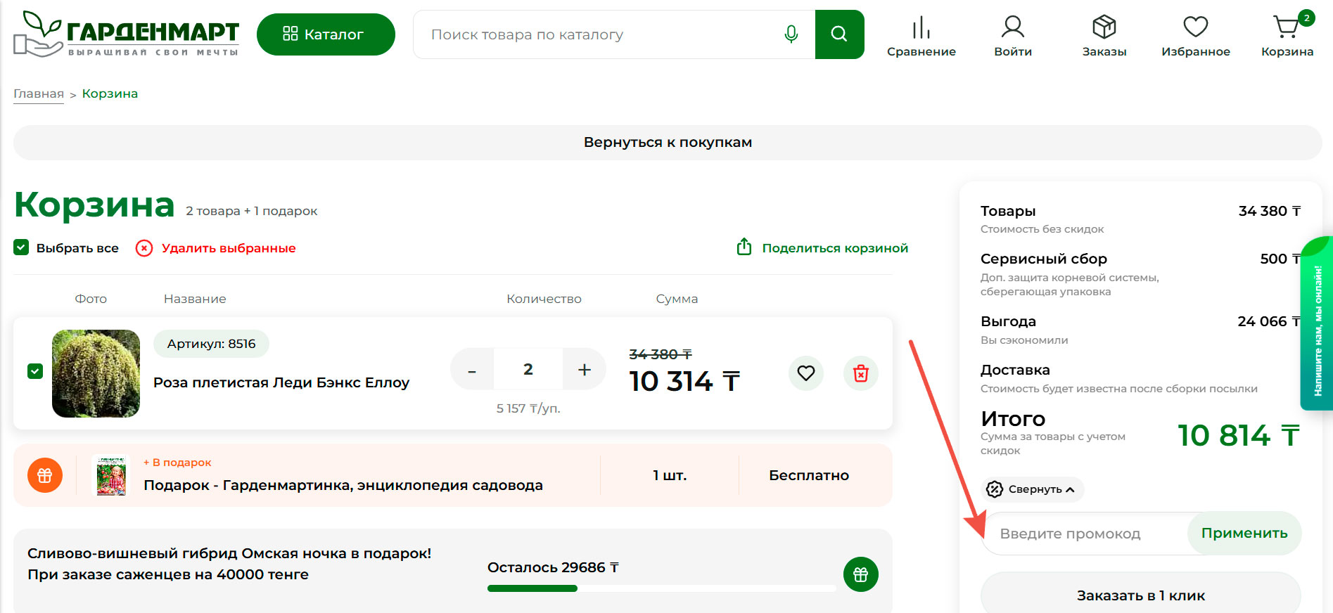 Где вводить промокод Гардменмарт