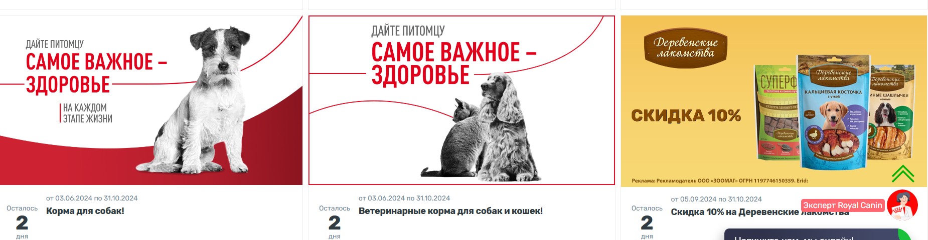 Акции Zoomag
