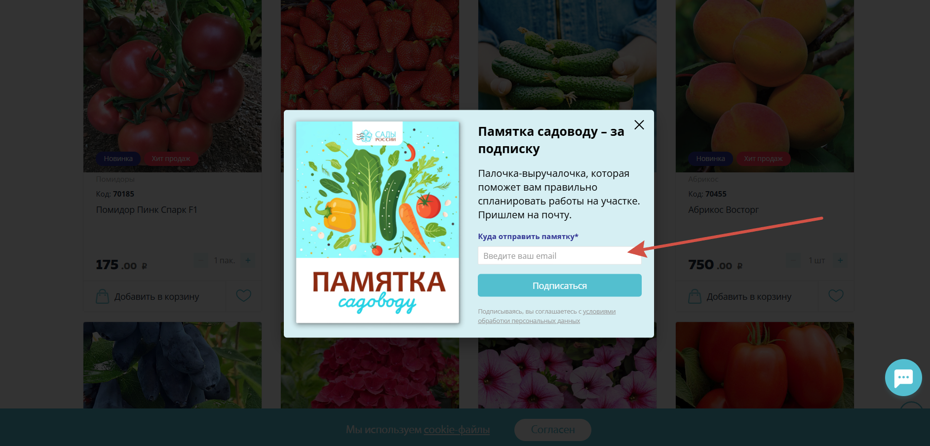 Информационная рассылка