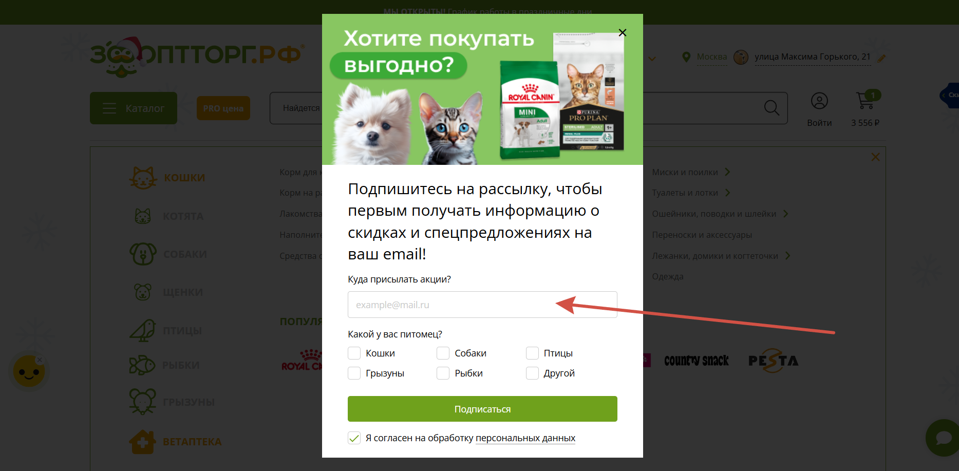 Информационная рассылка