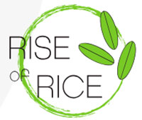 Rise of Rice
