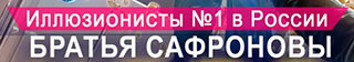 Братья Сафроновы